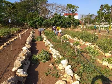 Trabajo voluntario en Ciego de Ávila