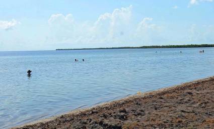 Playa Bibijagua