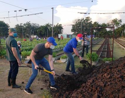 El Presidente cubano participa en jornada de trabajo voluntario