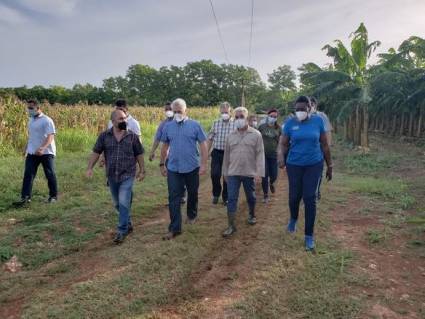 El mandatario constató la siembra de plátano y maíz en terrenos recuperados a la maleza