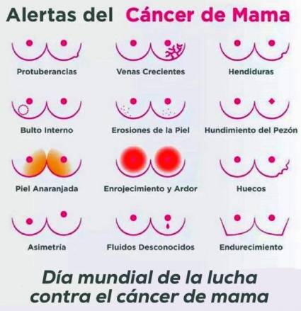 19 de octubre, Día internacional de la lucha contra el cáncer de mama