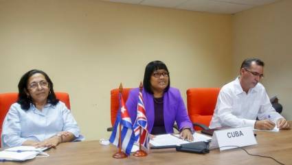 Encuentro virtual entre la  viceministra de Relaciones Exteriores de Cuba, Anayansi Rodríguez Camejo, y el subsecretario permanente de la Cancillería del Reino Unido, Philip Barton