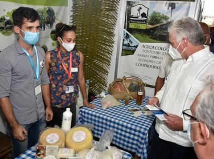 Feria de Desarrollo Local Habana 2022