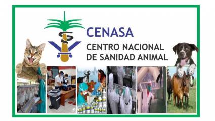 CENASA