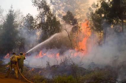 Incendio de grandes proporciones en Pinares de Mayarí, Holguín