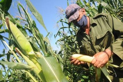 La producción de alimentos