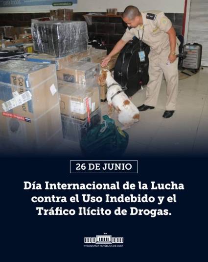 Día Internacional de la Lucha contra el Uso Indebido y el Tráfico Ilícito de Drogas