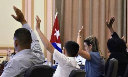Los miembros del Consejo de Estado aprobaron dos nuevos decretos leyes y examinaron temas a analizar por la X Legislatura de la Asamblea Nacional del Poder Popular