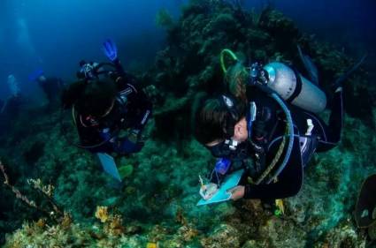 Las colonias de corales descubiertas en el centro y oriente de Cuba presenta especies en vías de extinción en la zona del Caribe.