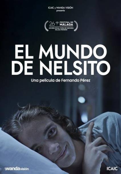 El mundo de Nelsito Poster