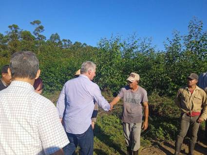 El Presidente cubano intercambió con una brigada de corte de madera de la Empresa GAF Guanahacabibes