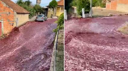 Ríos de vino inundan pueblito portugués