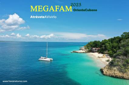 Megafan 2023