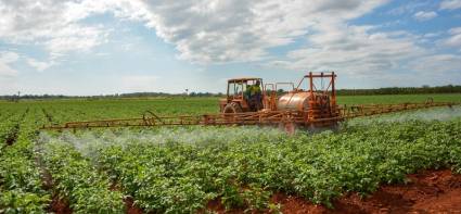 La producción de alimentos