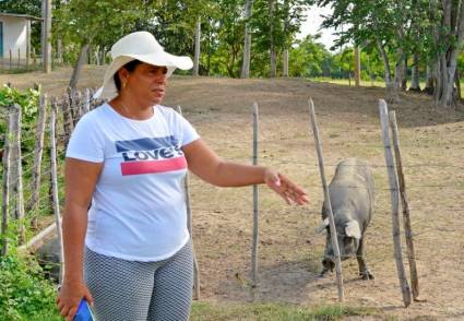 Egrisel desempeña un rol importante en la gestión y administración de la finca El Paraíso