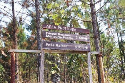 Pinares de Mayarí