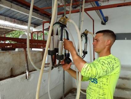 Andy aspira a elevar paulatinamente la producción de leche diaria. Autor: Hugo García 