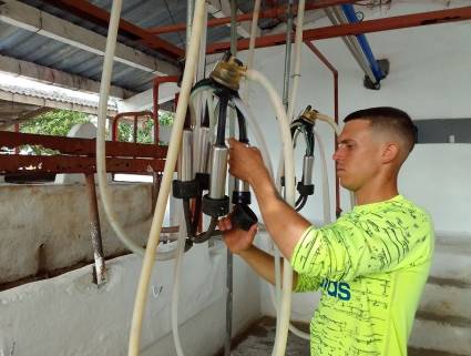 Andy aspira a elevar paulatinamente la producción de leche diaria. Autor: Hugo García
