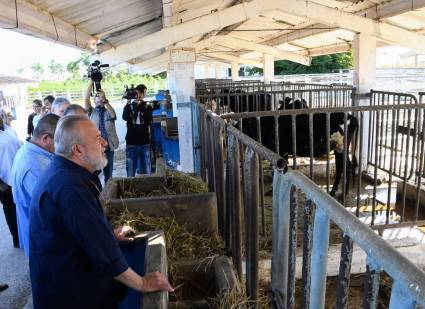 El primer ministro, Manuel Marrero Cruz, recorrió entidades y formas productivas vinculadas a la actividad agropecuaria en Artemisa.