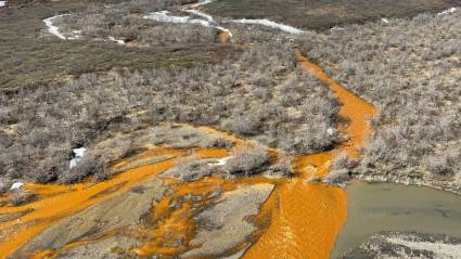 Ríos de Alaska se tornan anaranjados y ácidos