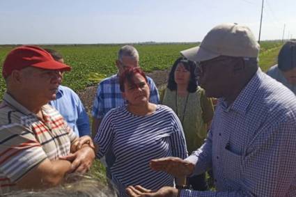 Salvador Valdés Mesa en Pinar del Río