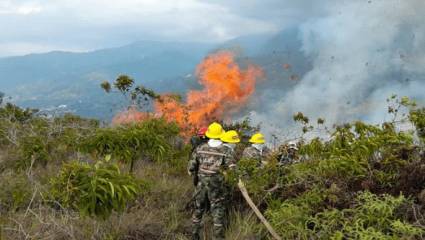 El ente de seguridad reveló que entre el 3 de noviembre pasado y el 20 de enero han ocurrido 237 incendios forestales que han afectado 131 municipios