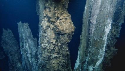 El fondo del mar en el sitio Endeavour de la cresta Juan de Fuca.