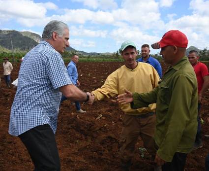 Presidente Díaz-Canel visita Pinar del Río
