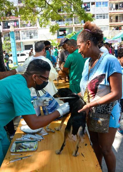 Los trabajadores del sector veterinario