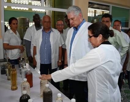 Miguel Díaz-Canel Bermúdez en los territorios continuó