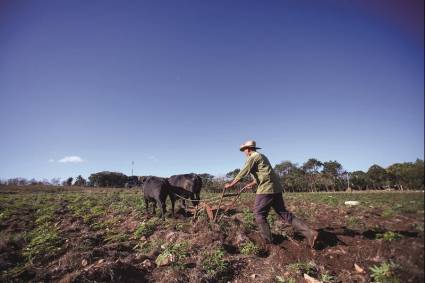 Agricultura