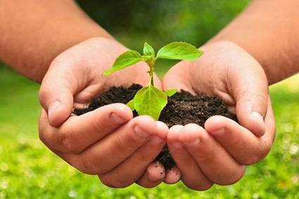 Científicos cubanos desarrollan plataforma para evaluar impacto del cambio climático