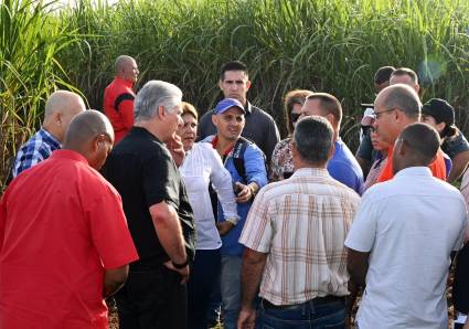 Presidente de Cuba recorre centros productivos de Mayabeque