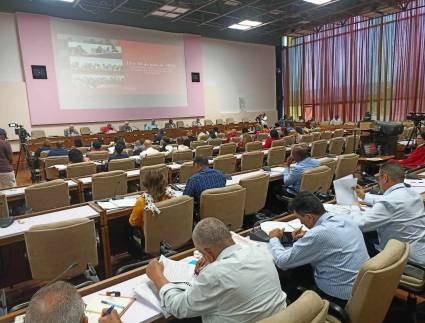 Comisiones permanentes de trabajo de la ANPP