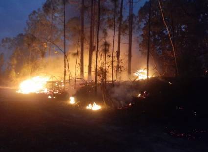 Pinar del Río en alerta debido a una sucesión de incendios forestales en 2026