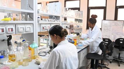 Científicos del CIGB