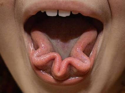 La capacidad de doblar la lengua ha sido el ejemplo predilecto para explicar cómo se heredan los rasgos de padres a hijos