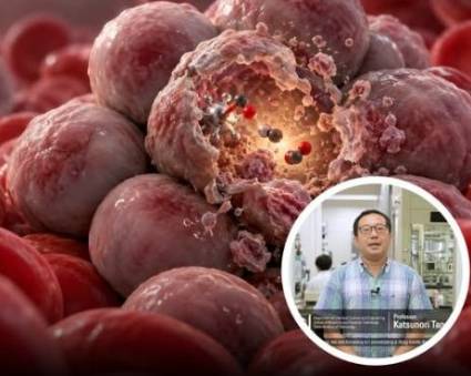 Células cancerosas fabrican su propio fármaco destructor