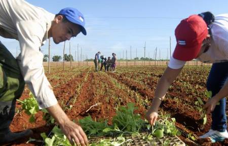 Productividad agrícola