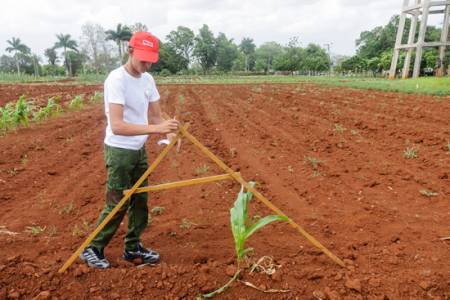 Ingeniería Agronómica