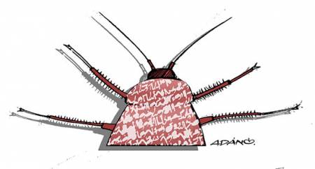 Cucaracha
