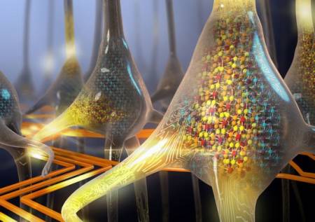 El desarrollo de neuronas artificiales