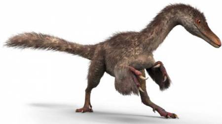 coelurosaurio