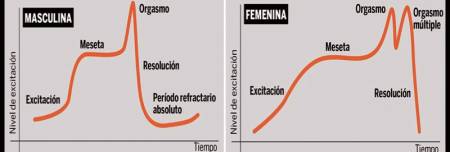 Respuesta sexual masculina y femenina