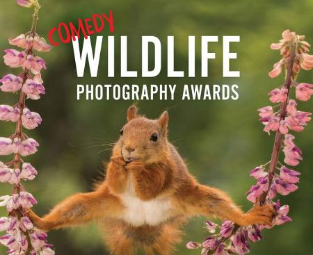 Premio de la fotografía cómica de vida salvaje