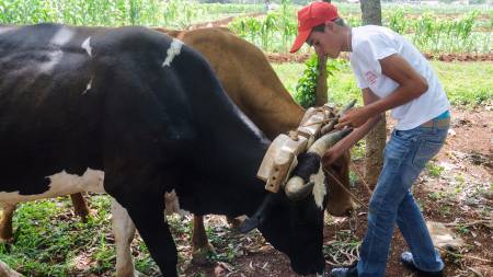 Especialista agropecuario