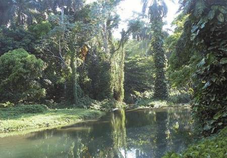 Rio Santa Cruz