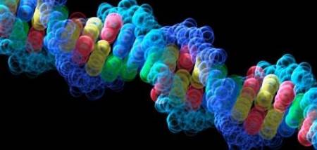 El mapa en 3D del genoma humano