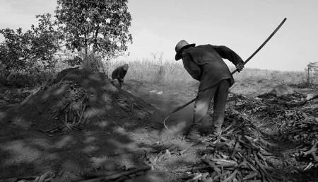Carboneros en el Batey Villalba en el municipio matancero de Perico
