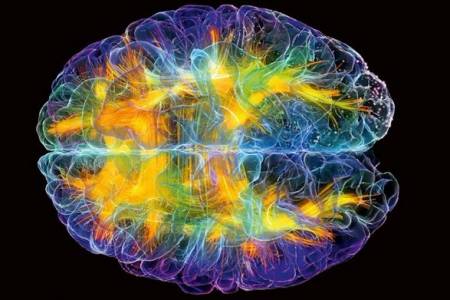 Creación de neuronas